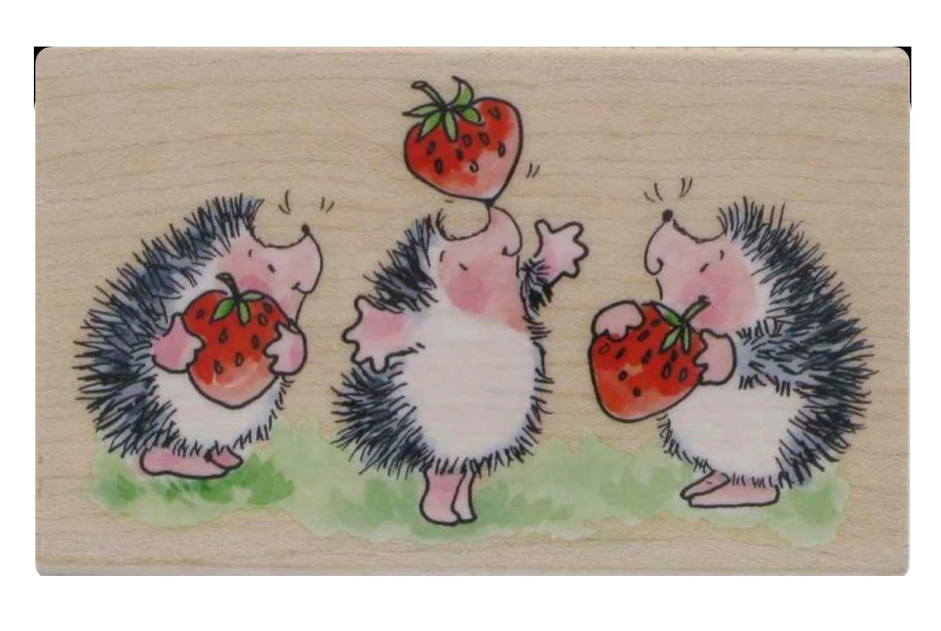 Igel Transparen Custom Tvintage Scrapbooking/Fotoalbum Dekorative klare Geschenkumschläge Stempelspitze