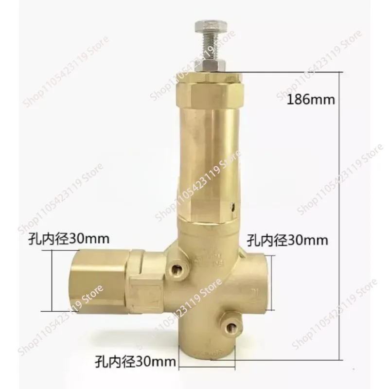 Industrial High-Flow High-Pressure Water Pump 200L 170kg Rated Flow with Pressure Release and Pressure Regulating Function