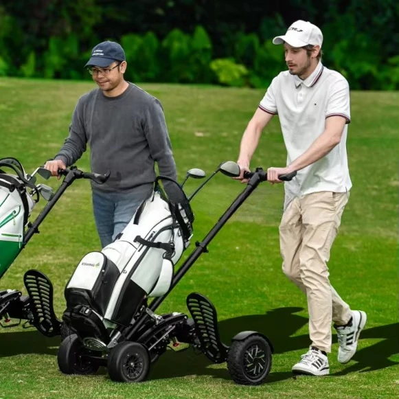 4 Tire Fairway Runner Electric Golf Scooter Cart