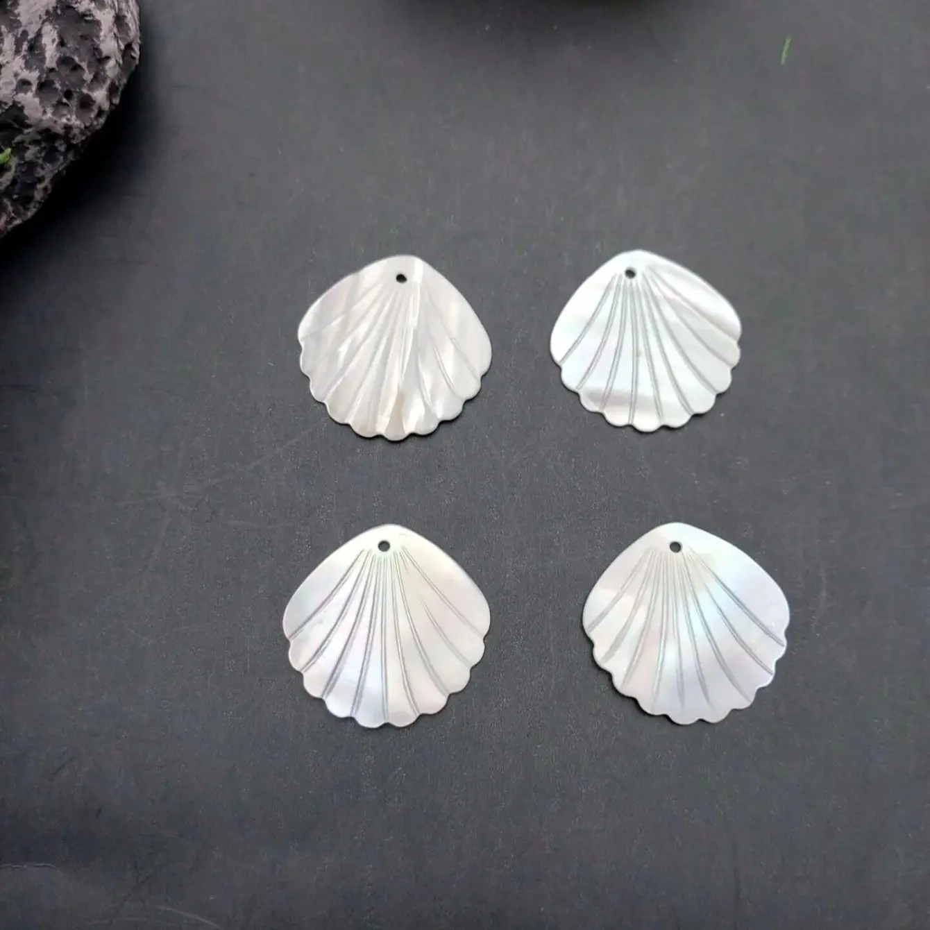 10pcs Natural Shell Charms for Jewelry DIY Making