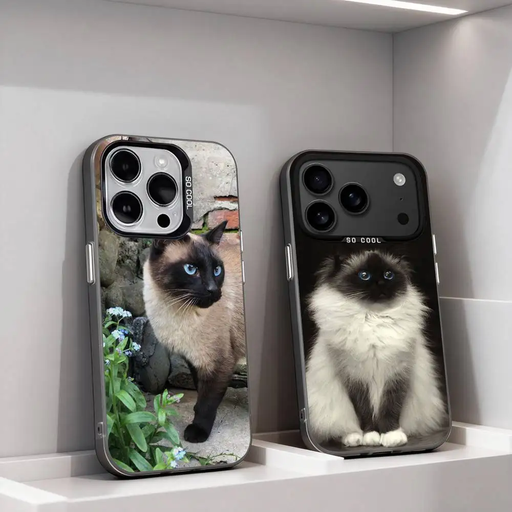 

Funny Siamese Cats Cute For iPhone 11,12,13,14,15,16,17,Pro,Max,Plus,E,Air,Mini Phone Case IMD Matte Black