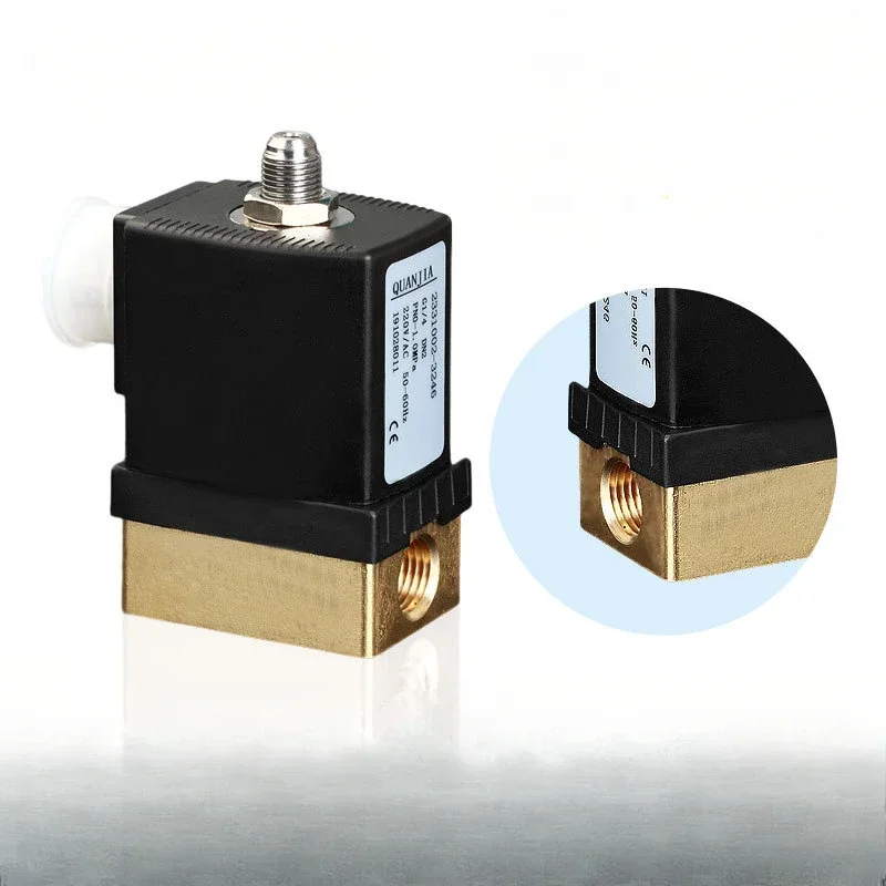 6013 Series Two Position Two-way Direct Acting Solenoid Valve Normally Closed Micro Solenoid Valve for Liquid Gas