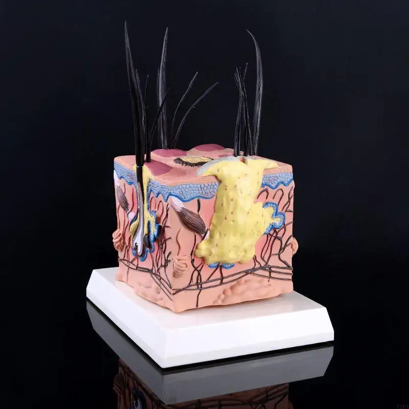 PXPA SICK DOG DOG CANINE CANINE SKINAMICAL MODER