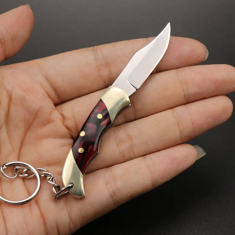 

Portable Outdoor Folding Knife Mini Fruit Knife Keychain Sharp Multifunctional Emergency Rescue Cutting Tool