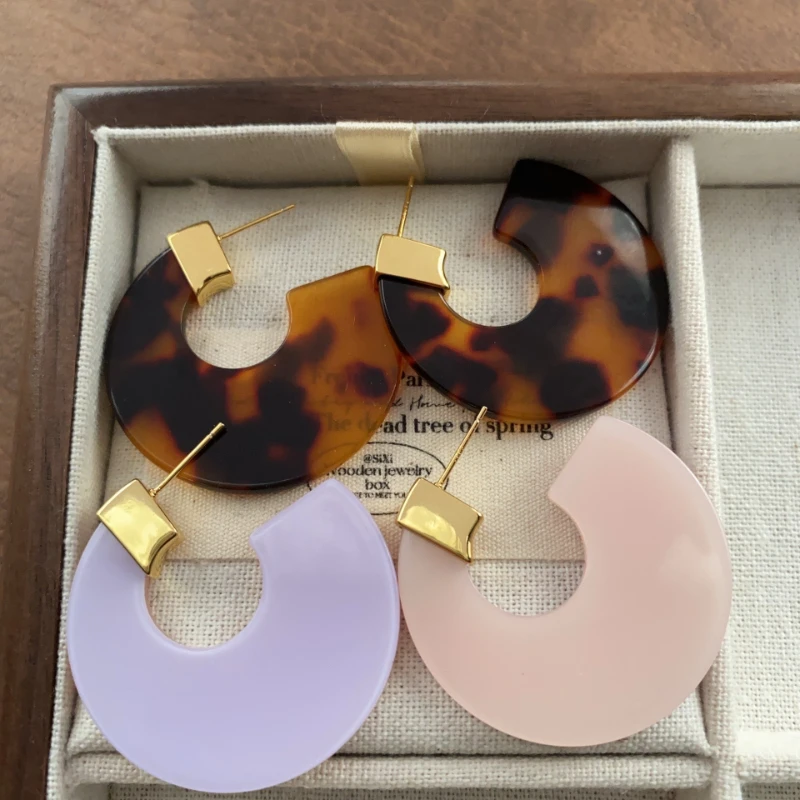 

Big Oval Drop Earrings for Women Statement Resin Acrylic Geometric long Earring Fashion Party Jewelry Gifts