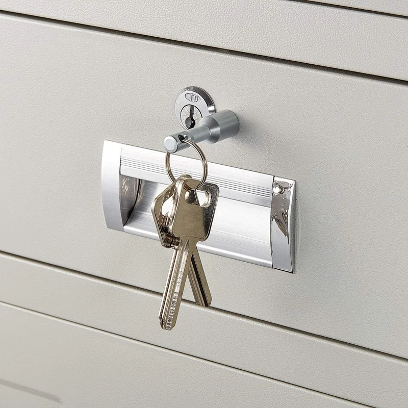 For Collectors For Hobbyists Magnetic Buckle Metal Keychain Coins Ferrous Metals Keychain Silver For Testing Brass