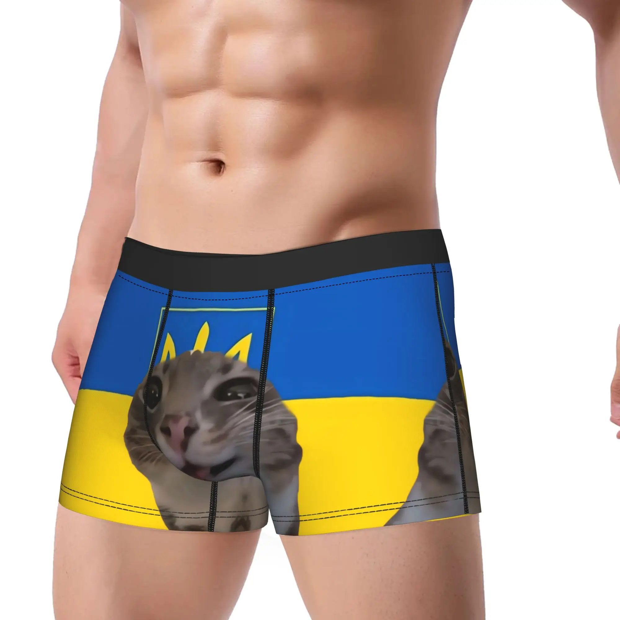 Ukraine Presidential FlagBoxer Brief  Underwear Hot Sale Males Novelty Boxershorts Printed Plus Size Panties
