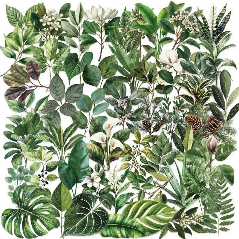 

50PCS Kawaii Green Leaves PET Sticker Aesthetic Decoration Scrapbooking Stationery DIY Hand Accounting Supplies for Kids