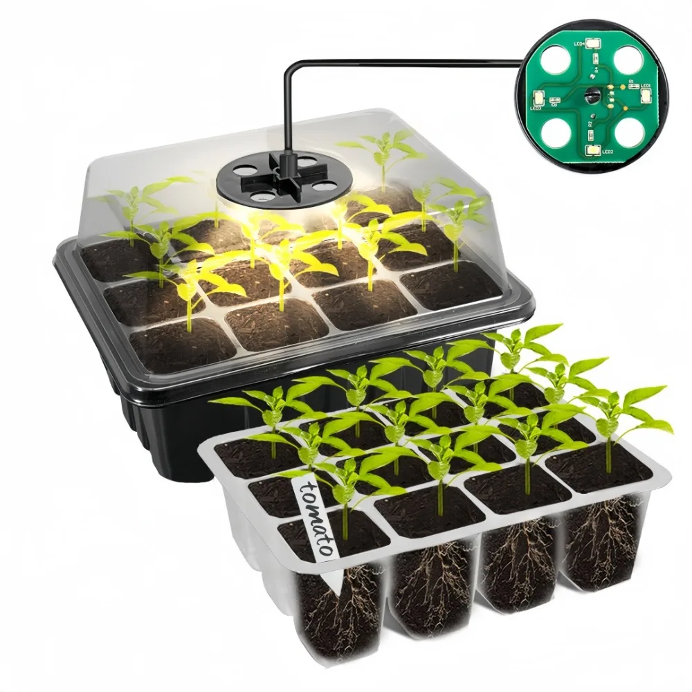 12/6 hole Seedling Box Rectangular Breathable with Light Seedling Extractor for Vegetable Succulent Horticultural Planting Tray