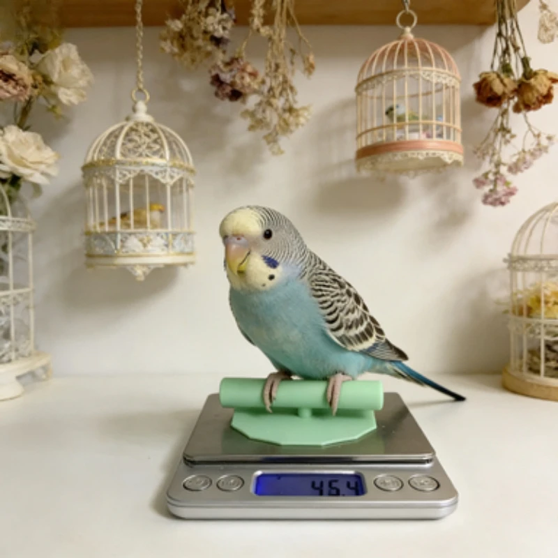 Bird Perch for Digital Scale Parrot Weighing Stand Accessory Small  Parrot Weight Monitor Tool For Budgie Cockatiel Supplies