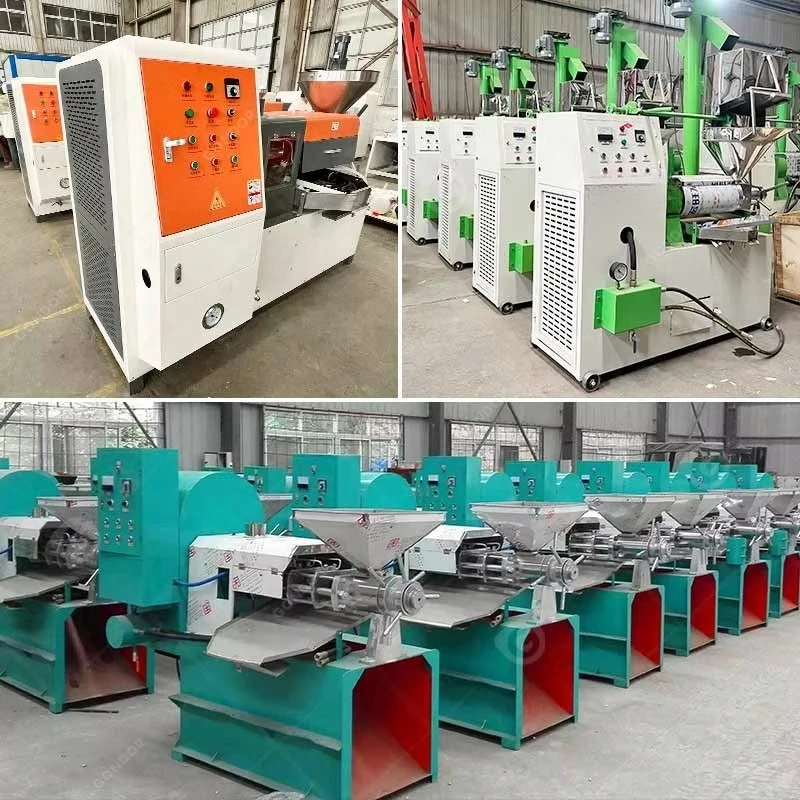 Vegetable Coconut Sunflower Scree Manual Multi Oil Cooking Cold Press Machine to Make Oil in Uk Pakistan