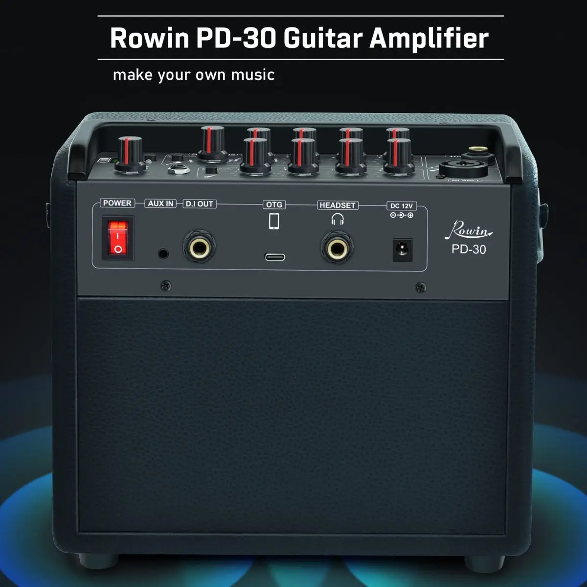 Rowin 30W Electric Guitar Amplifier Multi-Function OTG BT Guitar Rechargeable Amp Reverb Chorus Effect Microphone Inputs Aux In