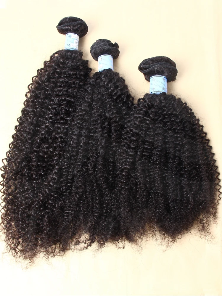 Dubbel Getrokken Volledige Uiteinden Mongoolse Afro Kinky Krullend Haar Bundels 100% Menselijk Haar Bundels 12-26Inch Natuurlijke Zwarte Kleur Voor Vrouwen - afbeelding 2