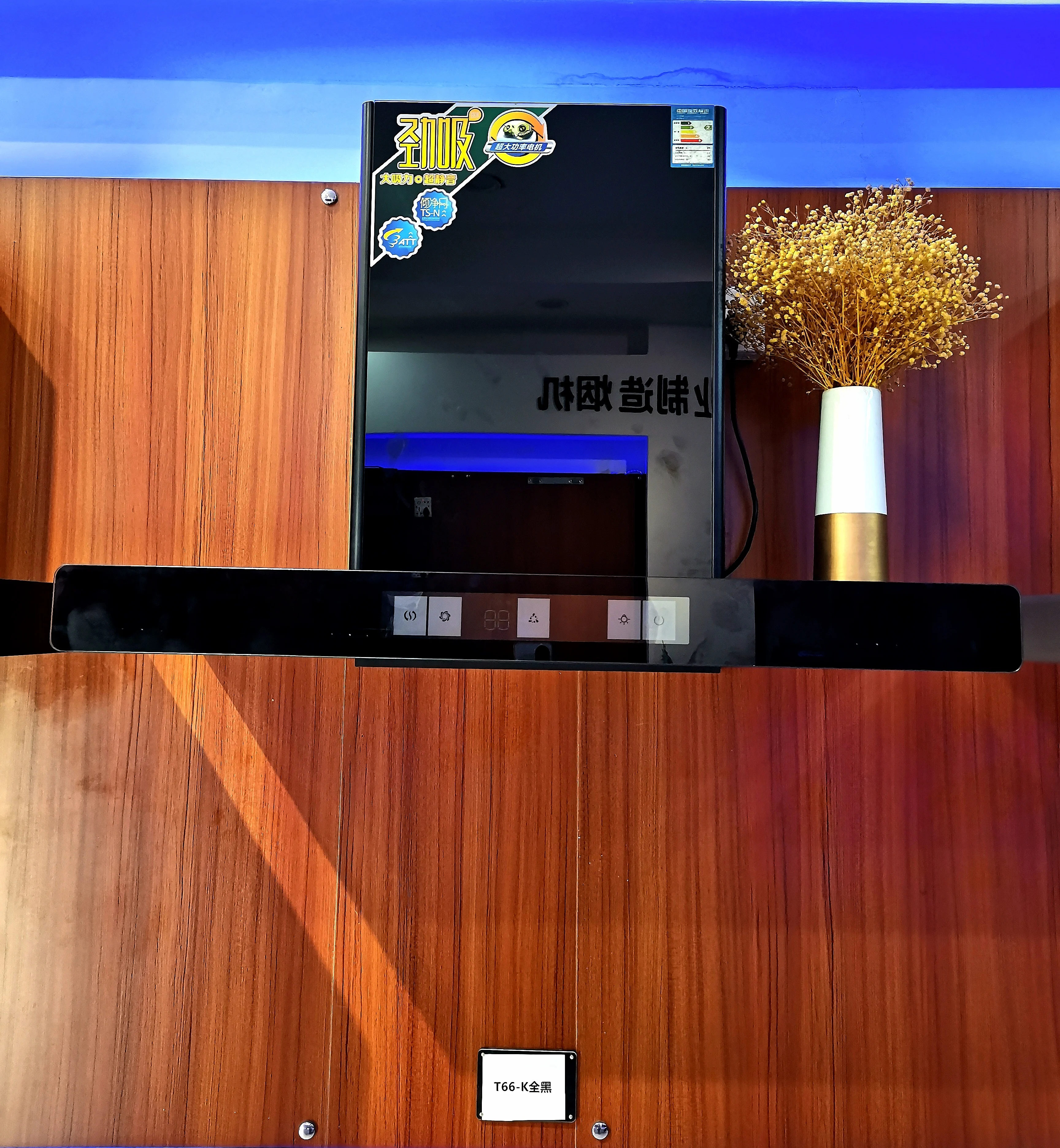 T-shaped  Supplied Home Appliance Kitchen Large Suction Top Side Large Suction Range