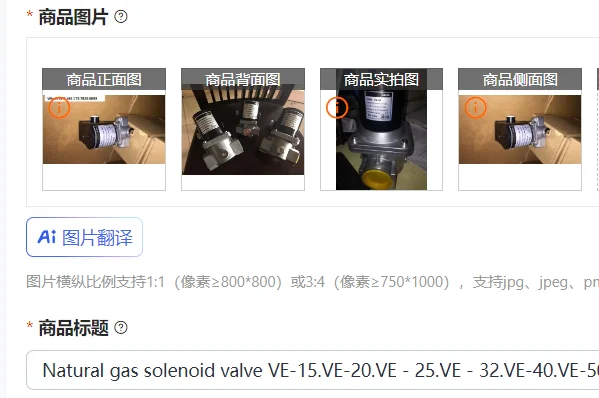 

Natural gas solenoid valve VE-15.VE-20.VE - 25.VE - 32.VE-40.VE-50