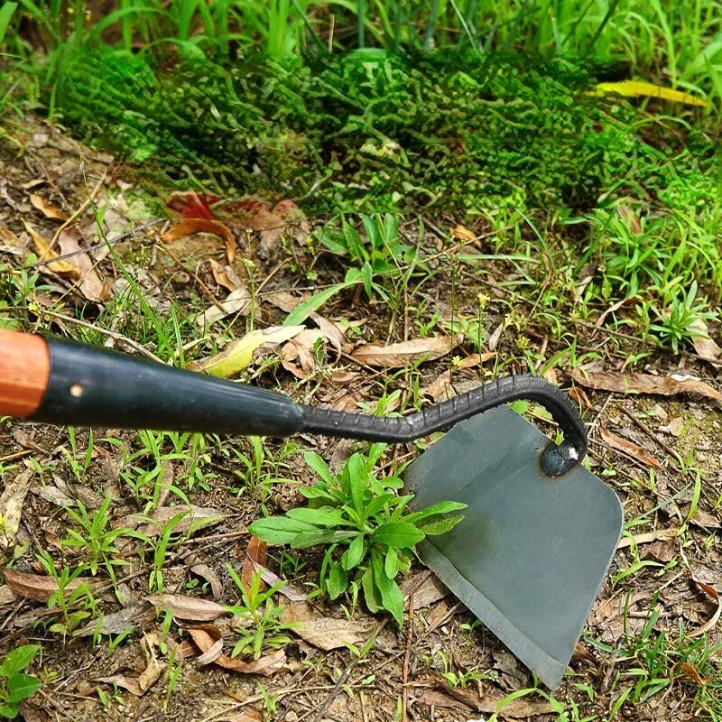 

Handheld Weeding Rake, Hollow Hoe, Planting Vegetable, Agriculture Tool, Weeding Accessories for Farm Garden