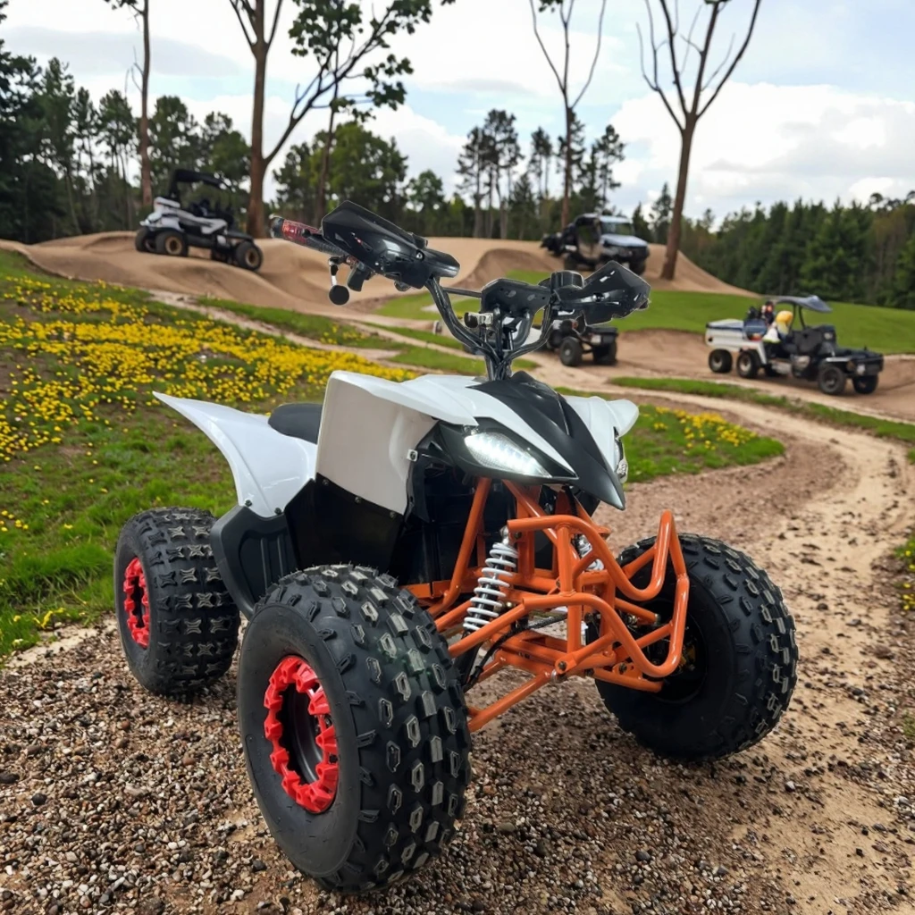 

Новый мощный четырехколесный электрический квадроцикл для взрослых