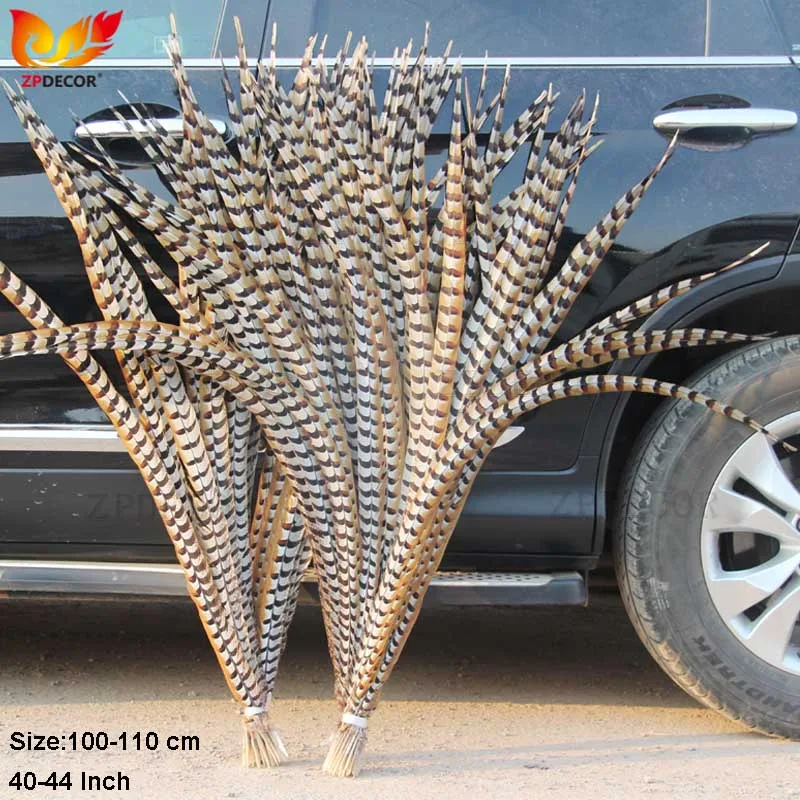ZPDECOR Natural Reeves Pheasant Feathers 100-110cm /40-44 Inch Long Feathers for Home Decor