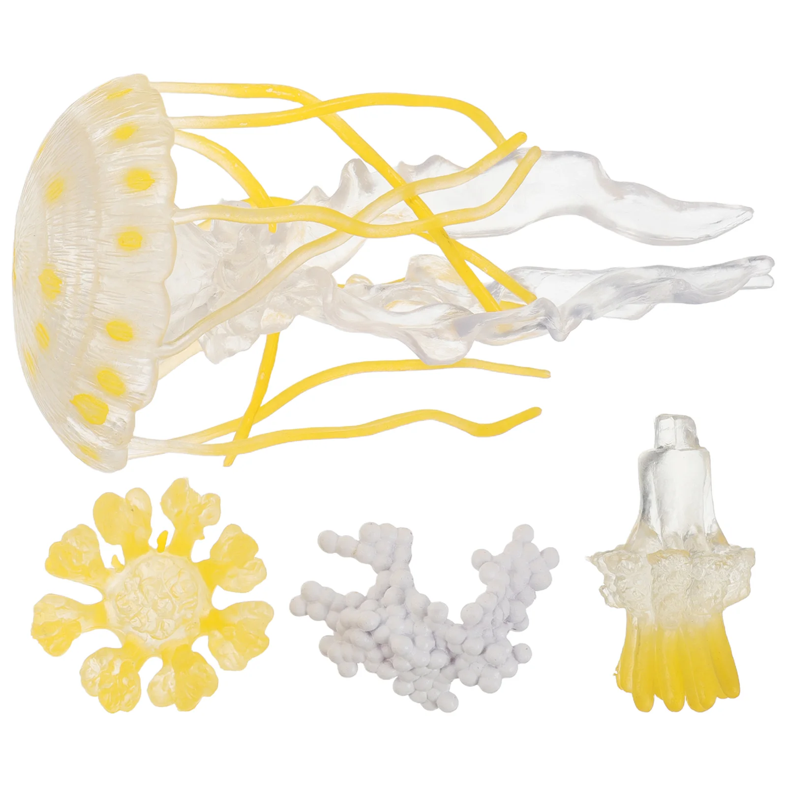 

1 Set Marine Animal Models for Kids Life Cycle Learning and Education Toys Mini Sea Animals Figures for Preschool and Toddler Sc