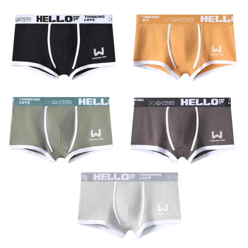 5Pcs Sexy Underpants Comfortable Breathable Men Underwear Men\'s Boxers  Fashion Boys\' Panties Underwear Boxershorts Men