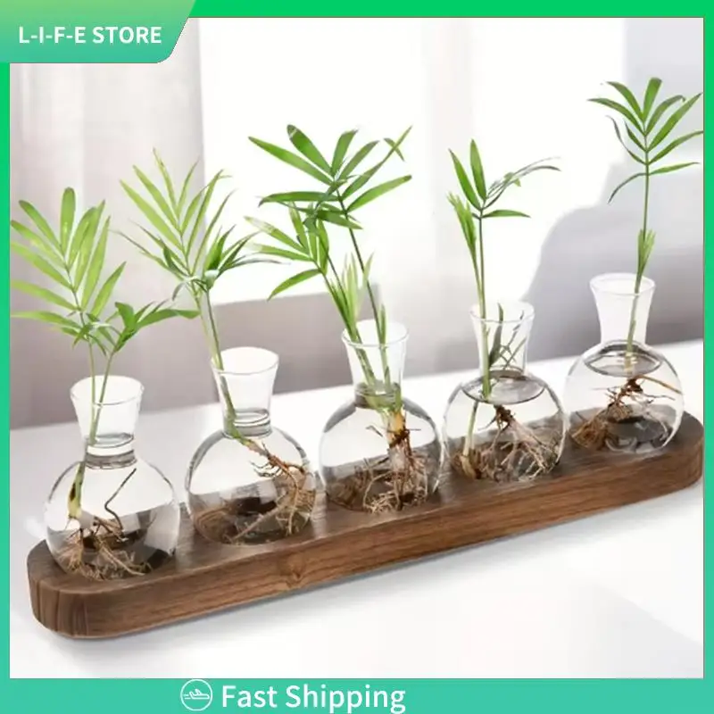 

Plant Terrarium Glass Vase Modern Transparent With Wooden Tray, Indoor Desktop Decor-AA98