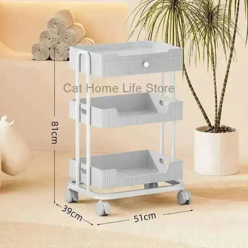 

Коробка для станции, тележка для салона, укладки макияжа, тележка для красоты, лоток на колесах, профессиональный маникюр, 3-скоростное хранилище стоматологических инструментов, 2-уровневая парикмахерская