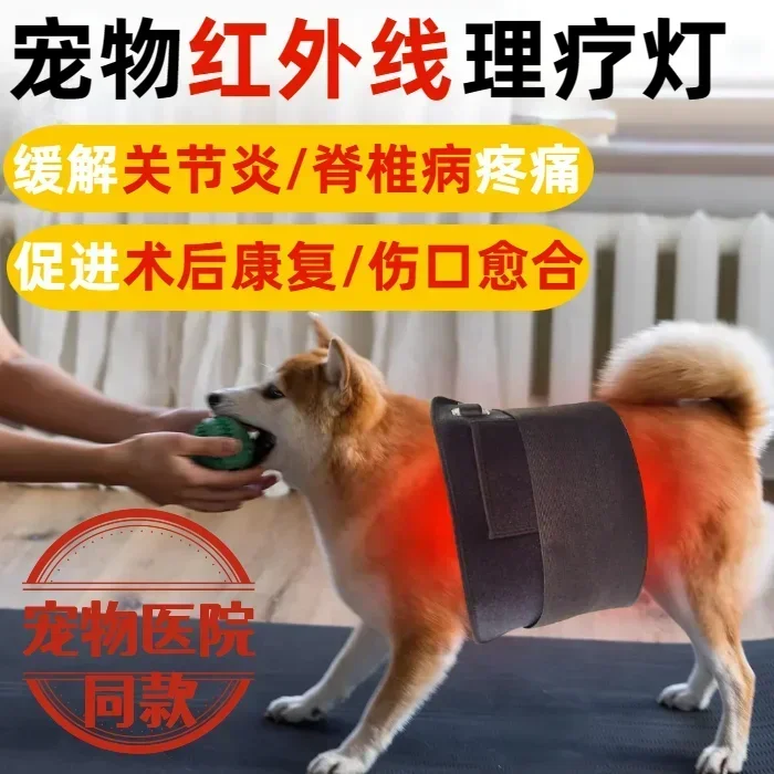 Pet infrared physiotherapy pad to keep warm dog heating baking lamp elderly dog hip rehabilitation after spinal fracture