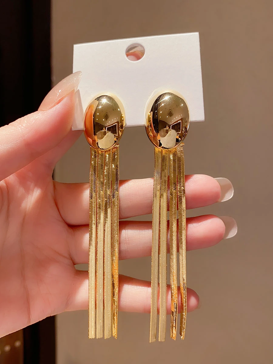 

High sense light luxury temperament long fringed earrings female