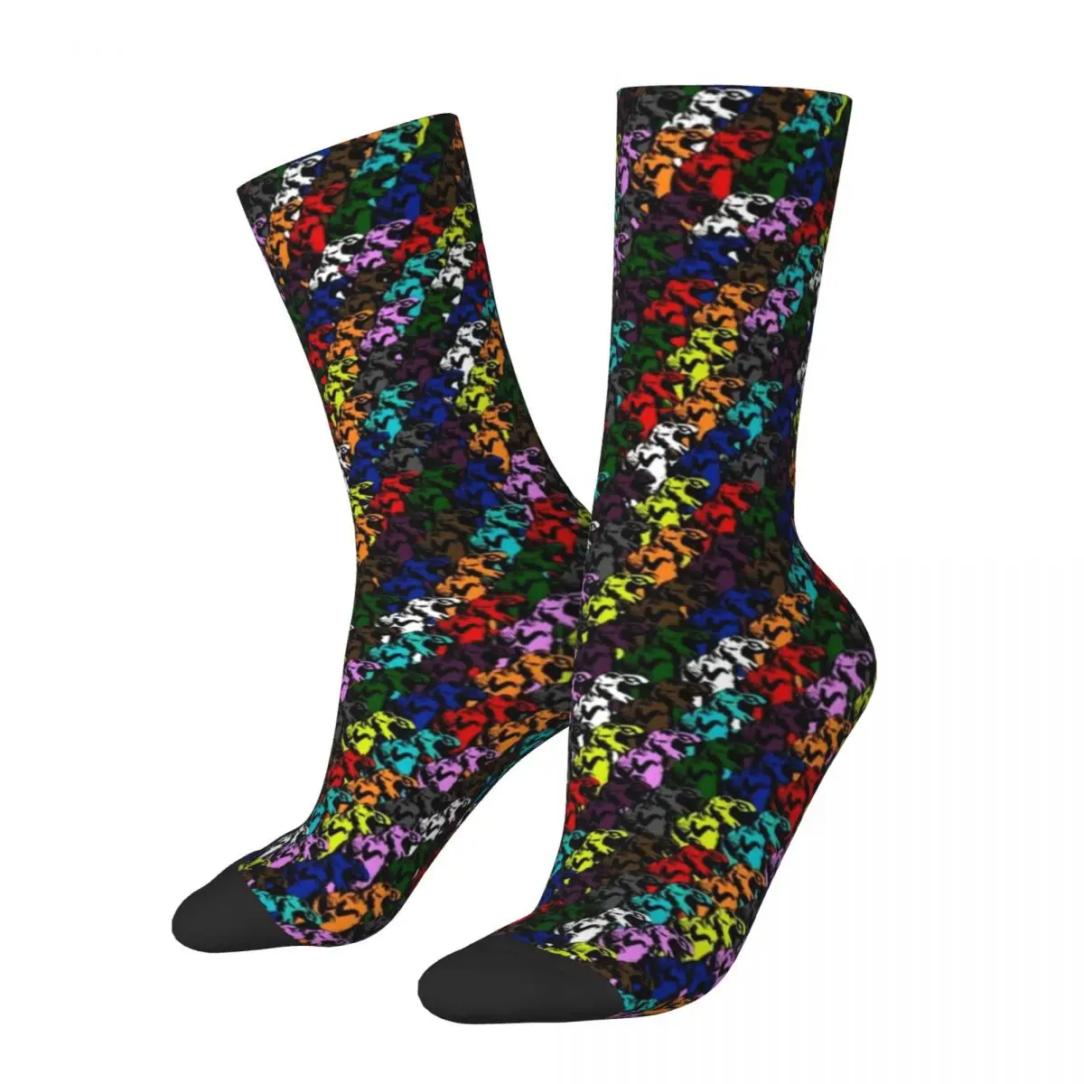 Dinosaurs Rainbow Socks Abstract Animal Print Elegant Stockings Girls Soft Breathable Outdoor Socks Spring Design Non-Slip Socks