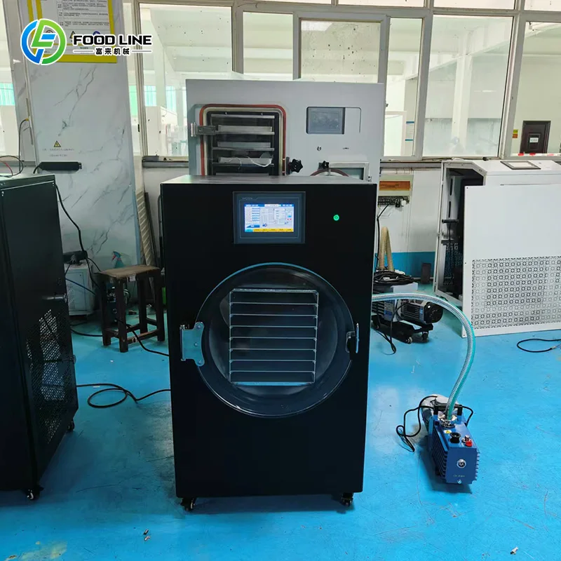 Customized Household Small Vacuum Freeze Dryer Home-Made Snack Dehydration Machine