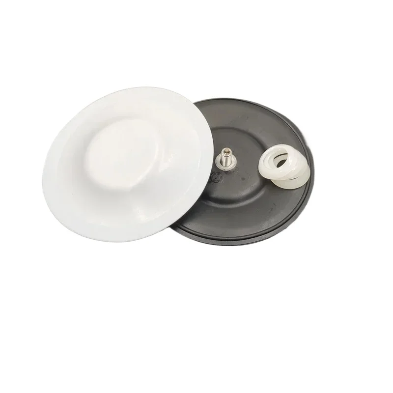 24A155 Kit di riparazione per controllo sferico 245067 245066 308 Kit di riparazione membrana pompa a membrana 245065 Kit di riparazione albero e cuscinetto