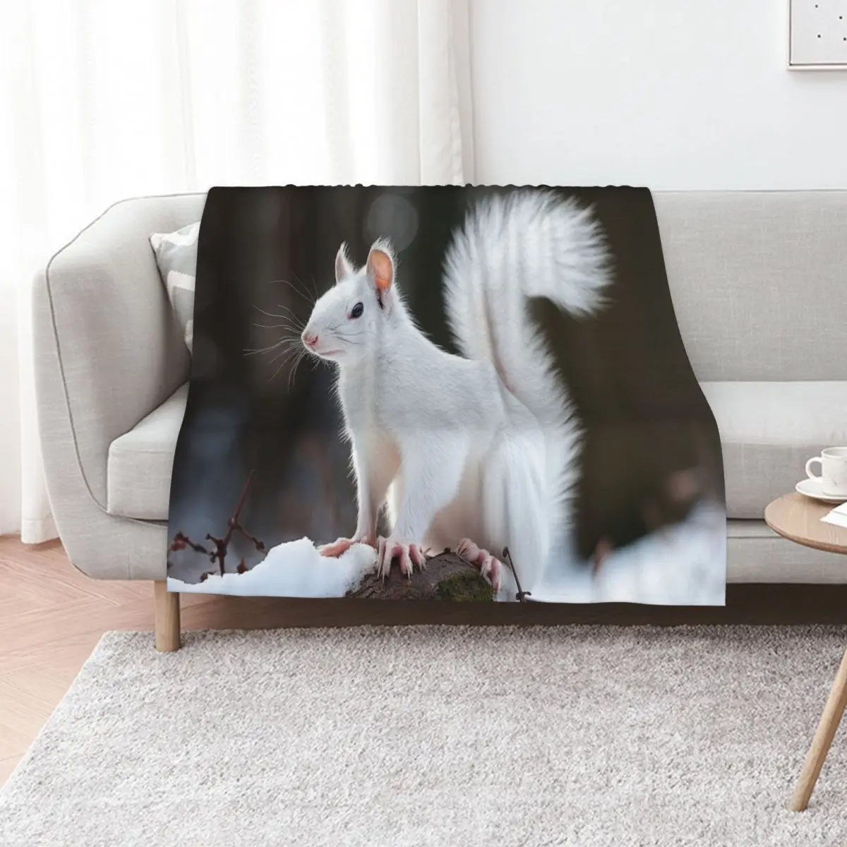 White Squirrel 01 Throw Blanket Soft Weighted Camping Plaid on the sofa Soft Big Cute Blankets
