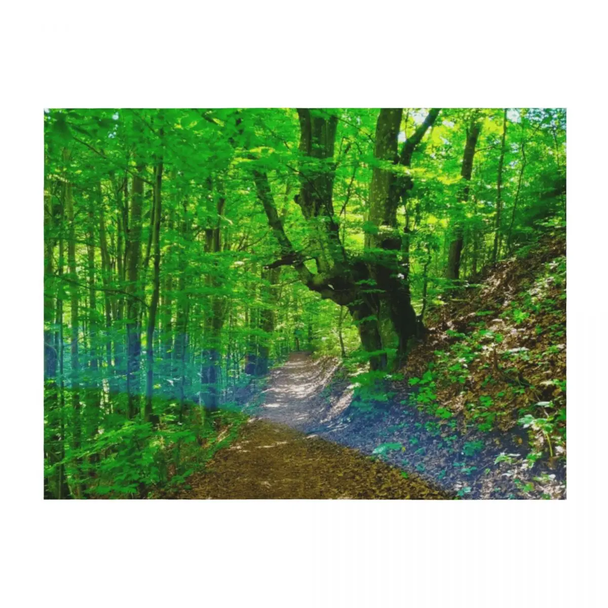 

Forest Path Throw Blanket Weighted Furry Soft Blankets Sofas Of Decoration Blankets