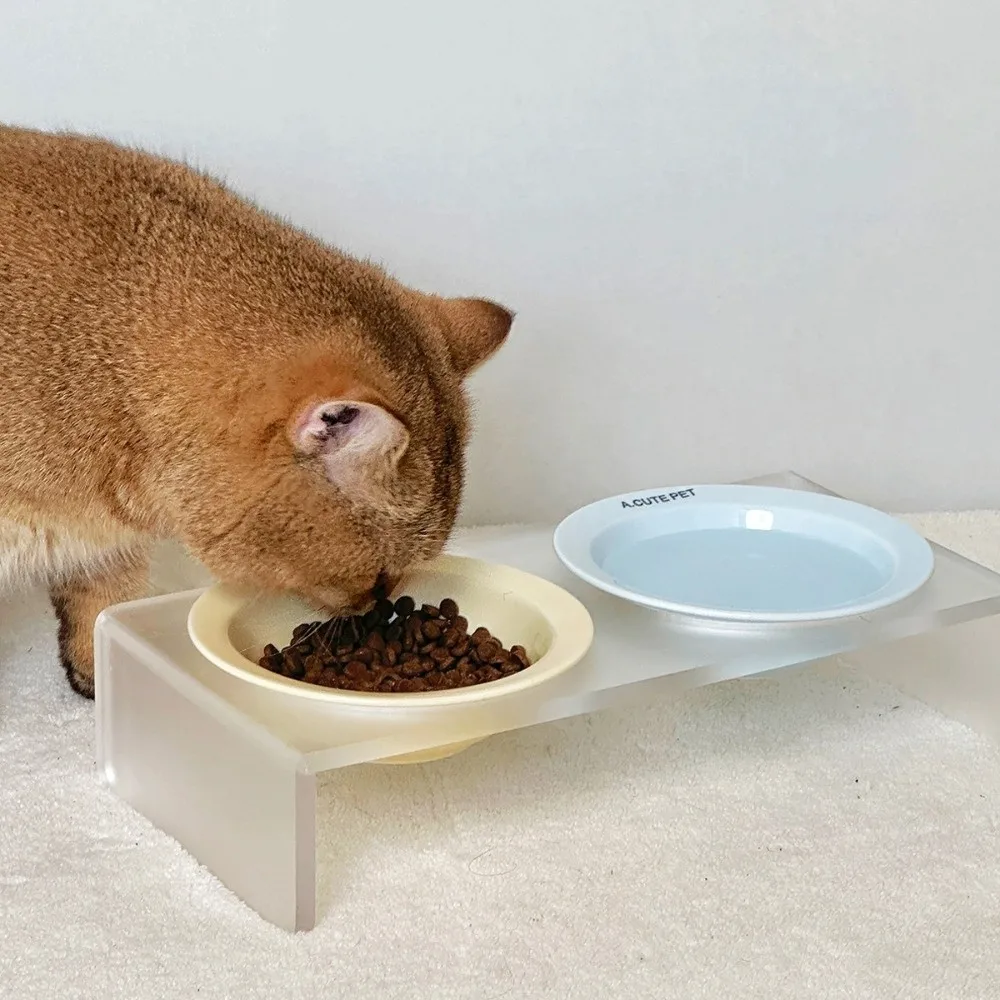 Ceramic Elevated Cat Bowl Solid Color Acrylic Bowl Rack Bowl Stand Holder Large Diameter Tilted Adjustable Pet Double Food Bowls