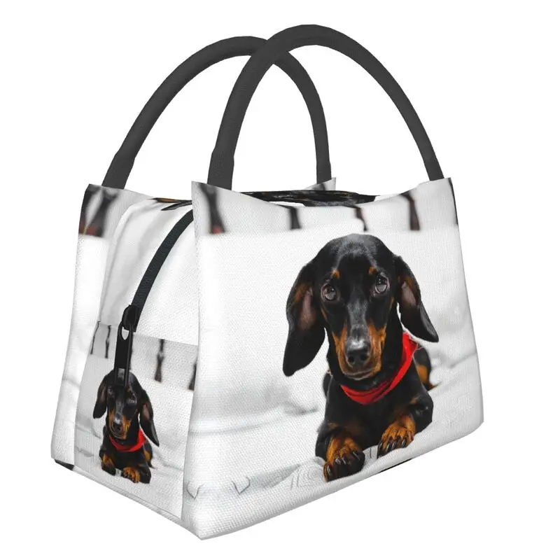 Custom Cute Dachshund Dog Print Lunch Bags Women Warm Cooler Insulated Lunch Box for Work Pinic or Travel