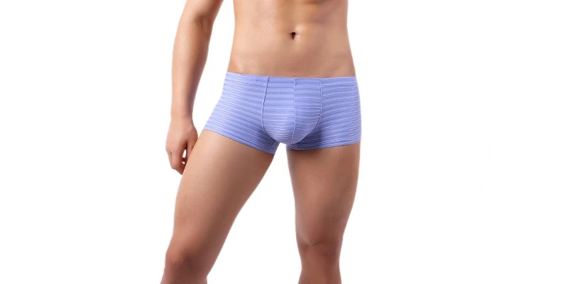 Men's Horizontal Stripe Microfiber Boxers Ultra-Soft Casual Underpants Youth Fashion U Convex Pouch Boxy Underpants Daily Trunks