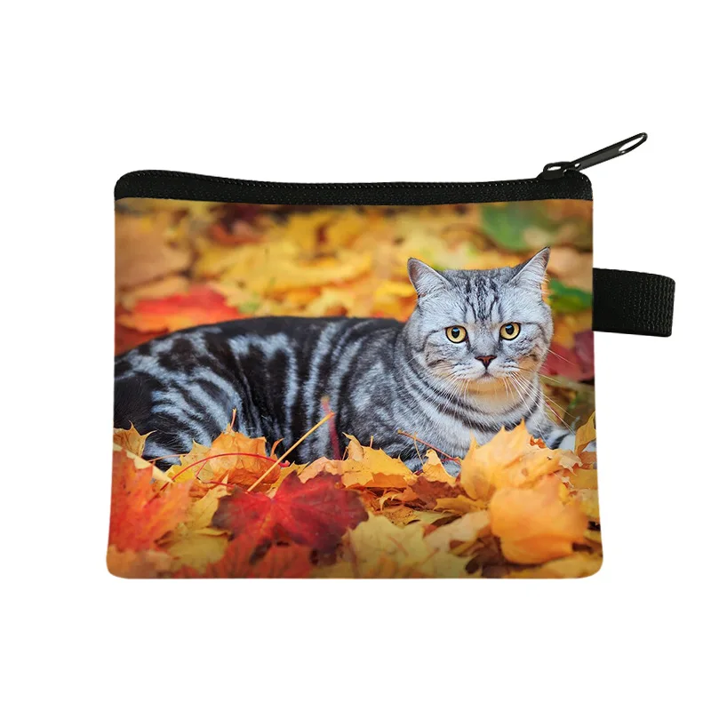 Monedero con forma de gato y Animal para niños, monedero portátil para estudiantes, bolsa de almacenamiento para llaves, bolsa de mano de poliéster,