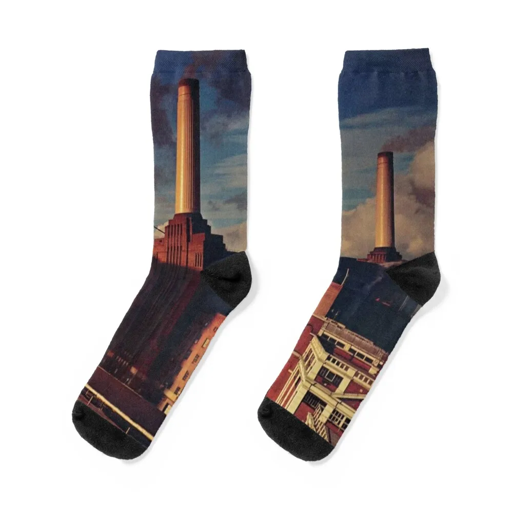 

Носки Dark Floyd City для спортзала, короткие напольные роскошные женские носки, мужские