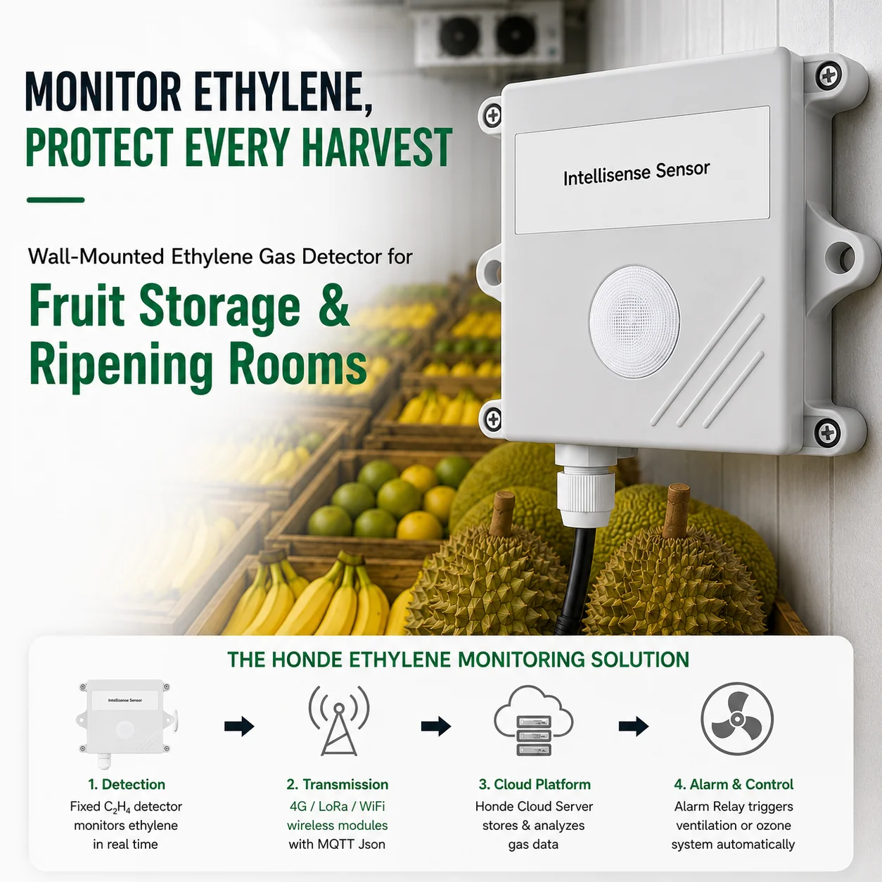 Fruit Ripening C2H4 Air Gas Detector Sensor for Banana Durian & Jackfruit Ripening Storage Monitoring Control