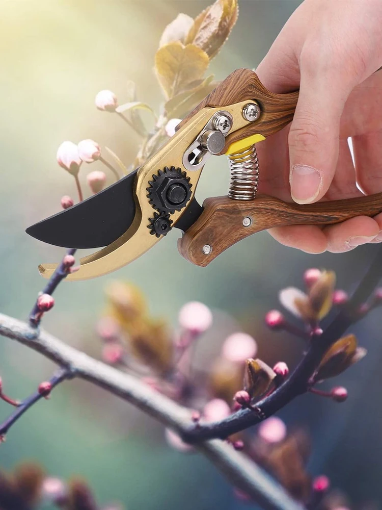 Gartens chnitt schere Pflanzen verkleidung Gartenbau Hands chere Strauch Gartens chere Obstgarten Ast schere profession elles Schnitt werkzeug