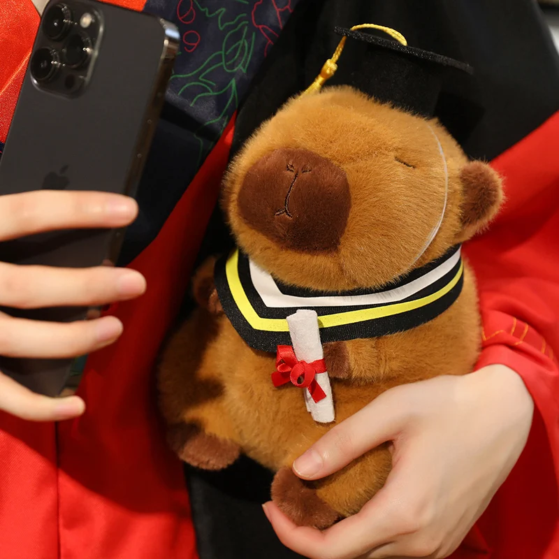 20/25 ซม.การ์ตูน Graduation Capybara ที่ถอดออกได้ Doctoral หมวก Capybara สัตว์บรรจุของเล่นตกแต่งบ้านของขวัญเด็กหญิง