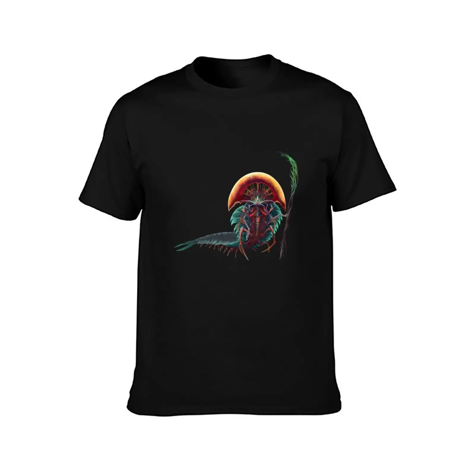 Crescent Sun Sage T-Shirt Basic Breathable Solid Color T-Shirt