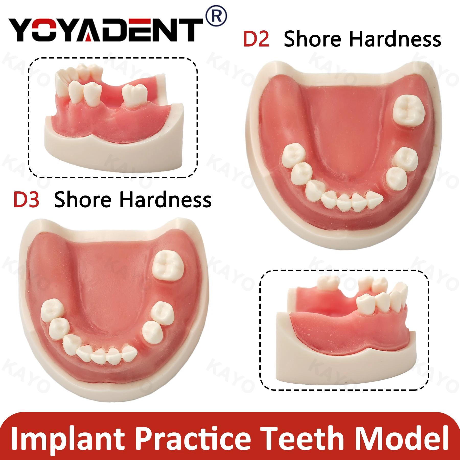 Dental Implant Model Soft Gums Drilling Training Suture Model D2 D3 Hardness For Education Practice Demo Dental Lab