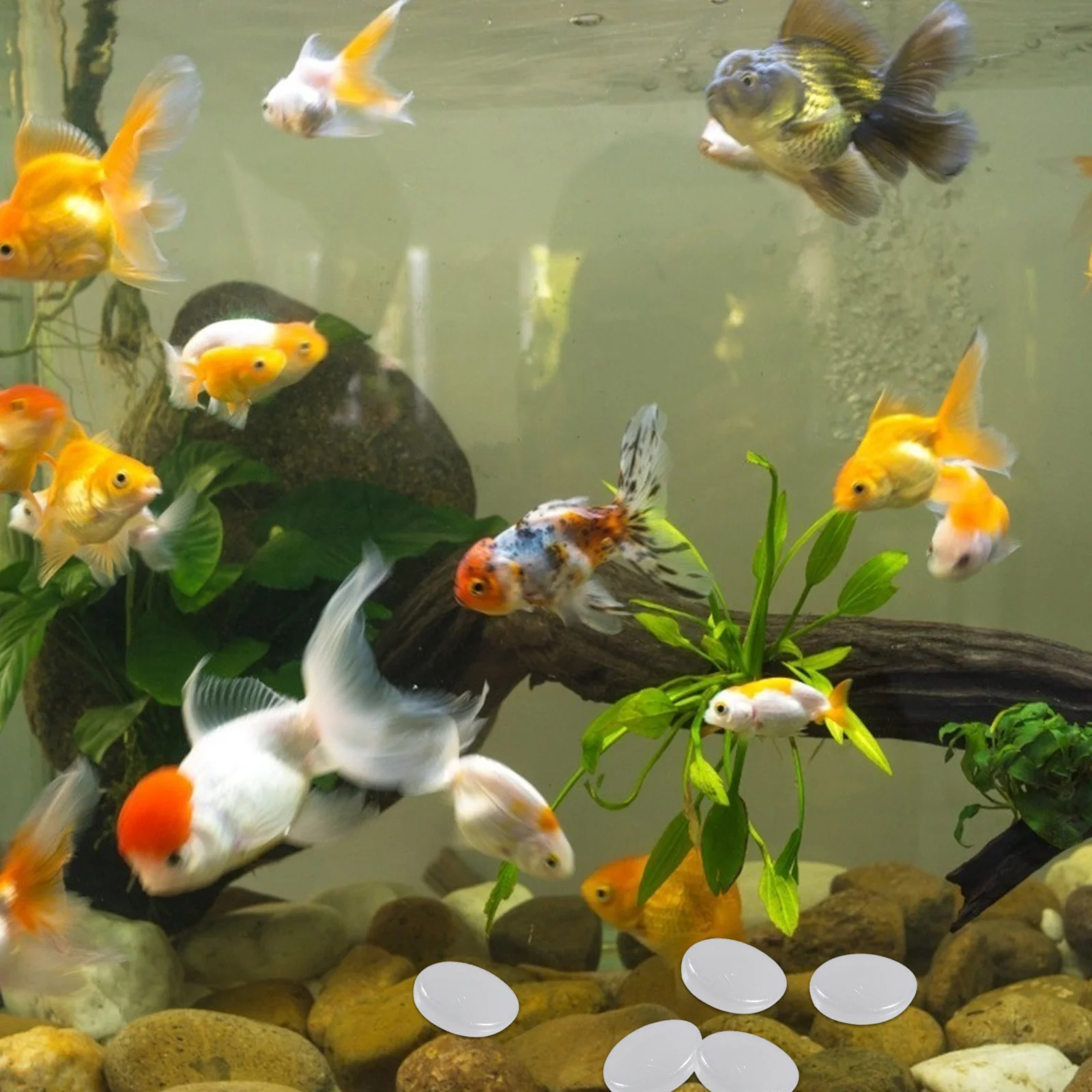 

100Pcs Natural Polished Stones Durable Aquarium Decoration Glow in Dark Luminous Stones for Garden Fish Tank