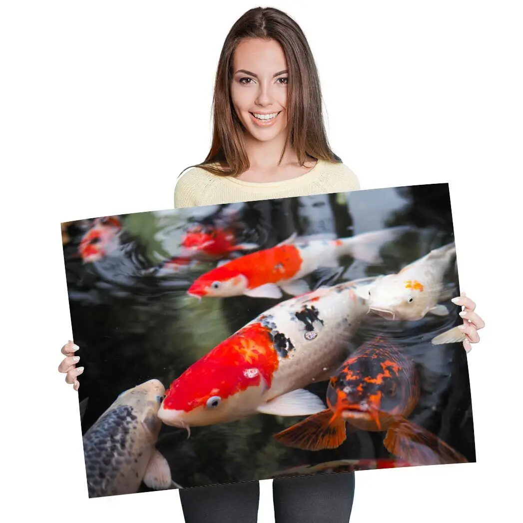 Koi Carp Pond Fish Japanese Art Picture Print Silk Poster Living Room Decor Home Wall