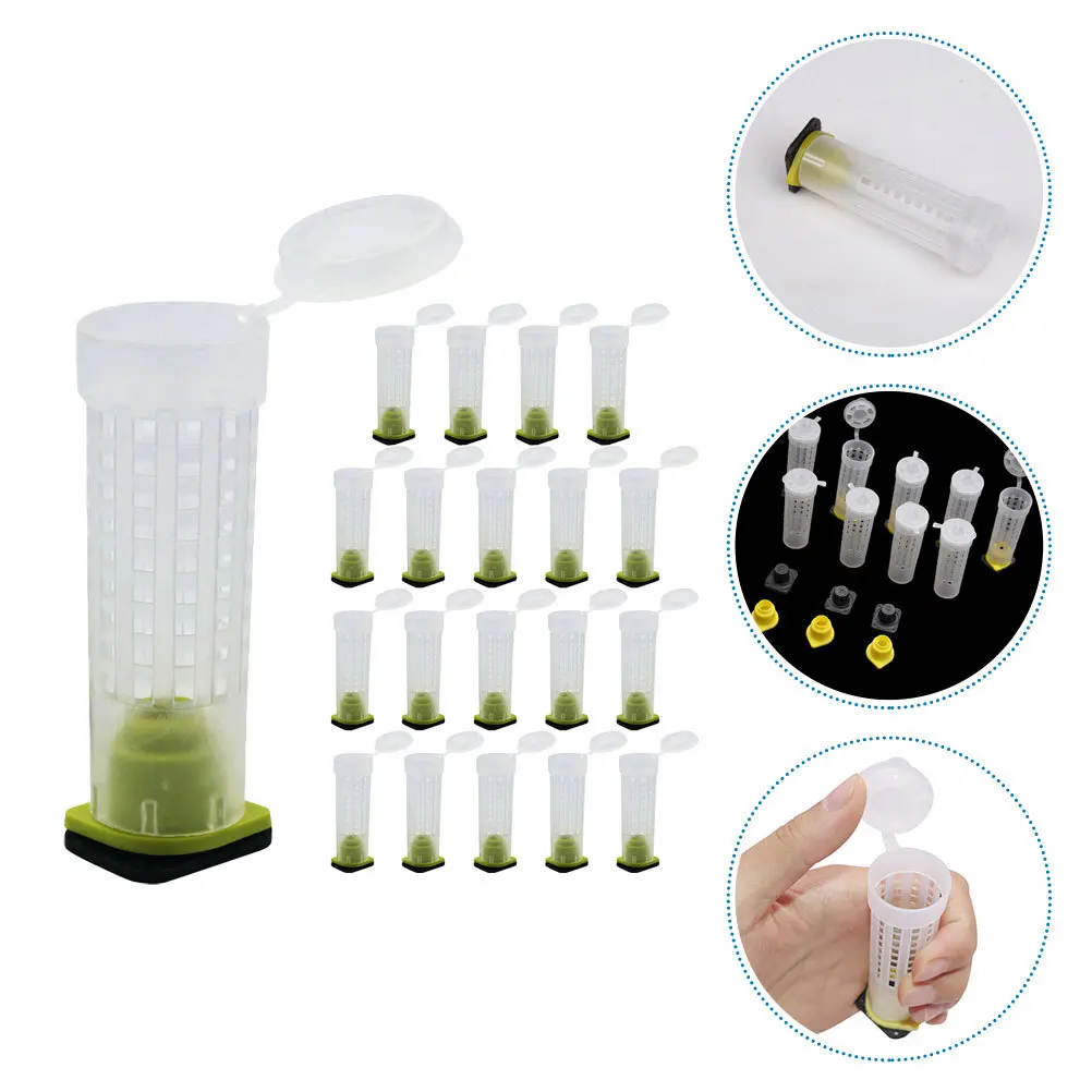 

20Pcs Protector Cage Mesh Ventilation Breeding Equipment for Beekeepers Easy Install Bee Safety Shield