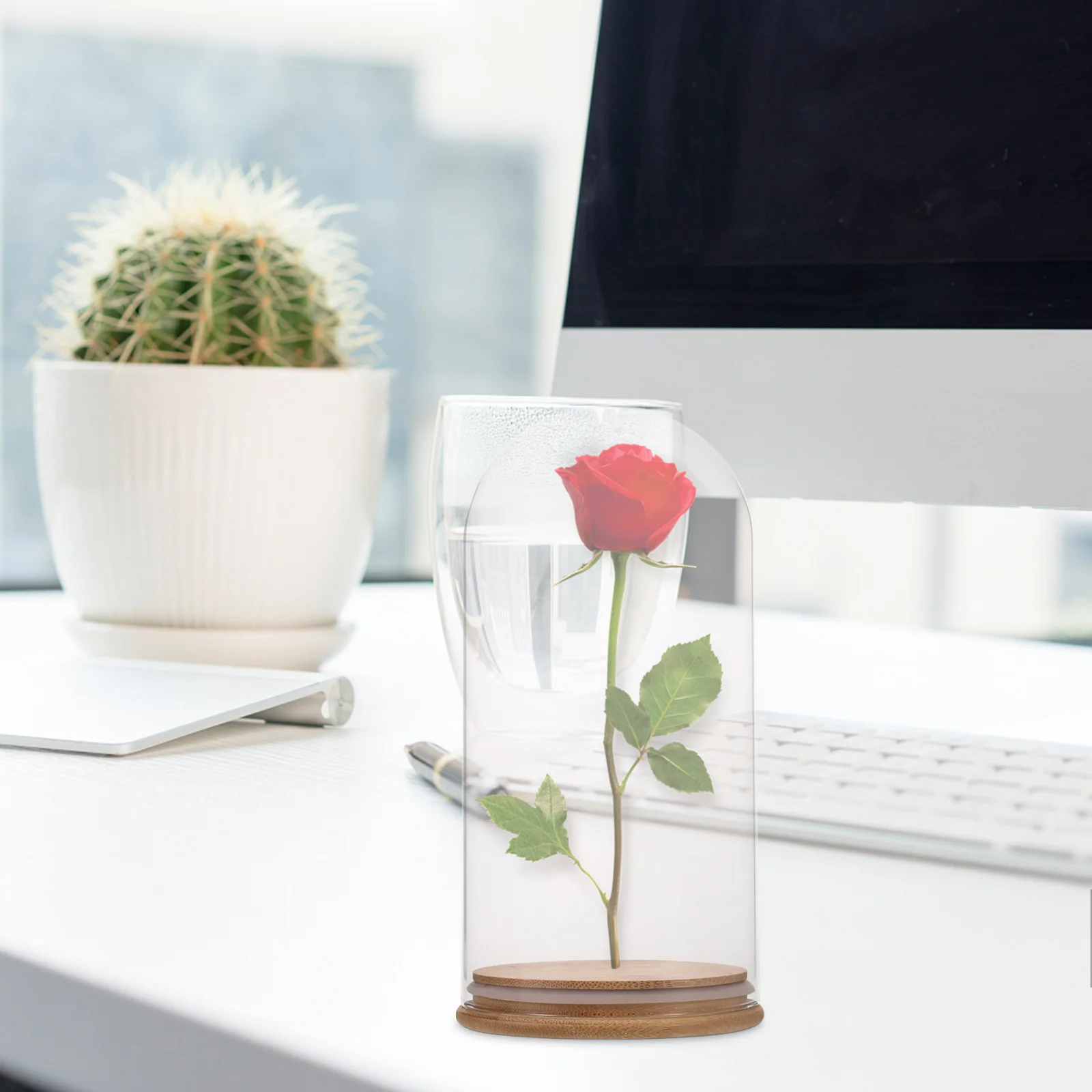 

Clear Glass Dome with Base Transparent Bell Display Case for Eternal Flowers DIY Decor Home Decoration Cloche Glass Dome Cloches