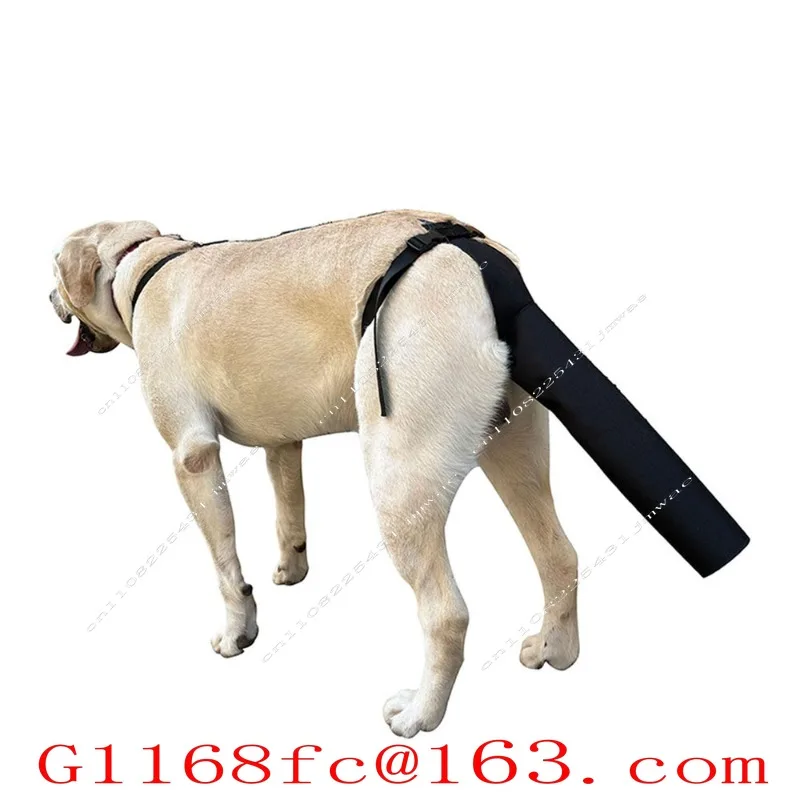 Pet Dog Tail Protector Can Be Adjusted for Hair Loss Due To Injury