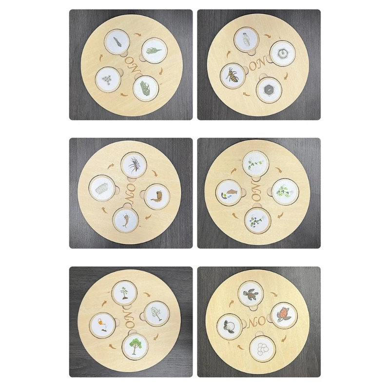 لعبة ألغاز دورة نمو الحياة البيولوجية، لوحة تعليمية لرياض الأطفال 15UB