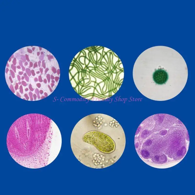 85AE Microscopio con adattatore per smartphone Microscopi per prima educazione dei bambini da laboratorio